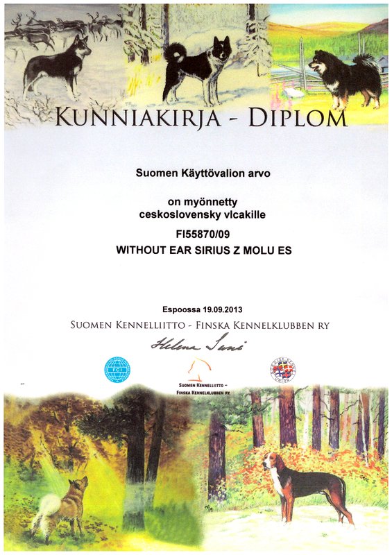Diplom finského šampiona práce